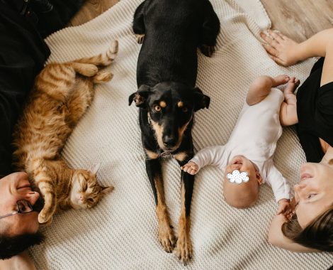 Newborn (10)